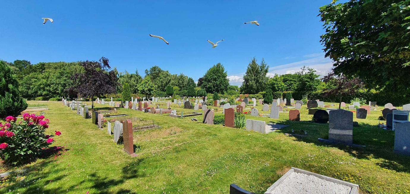 Begravningsplatsen i Malmö.